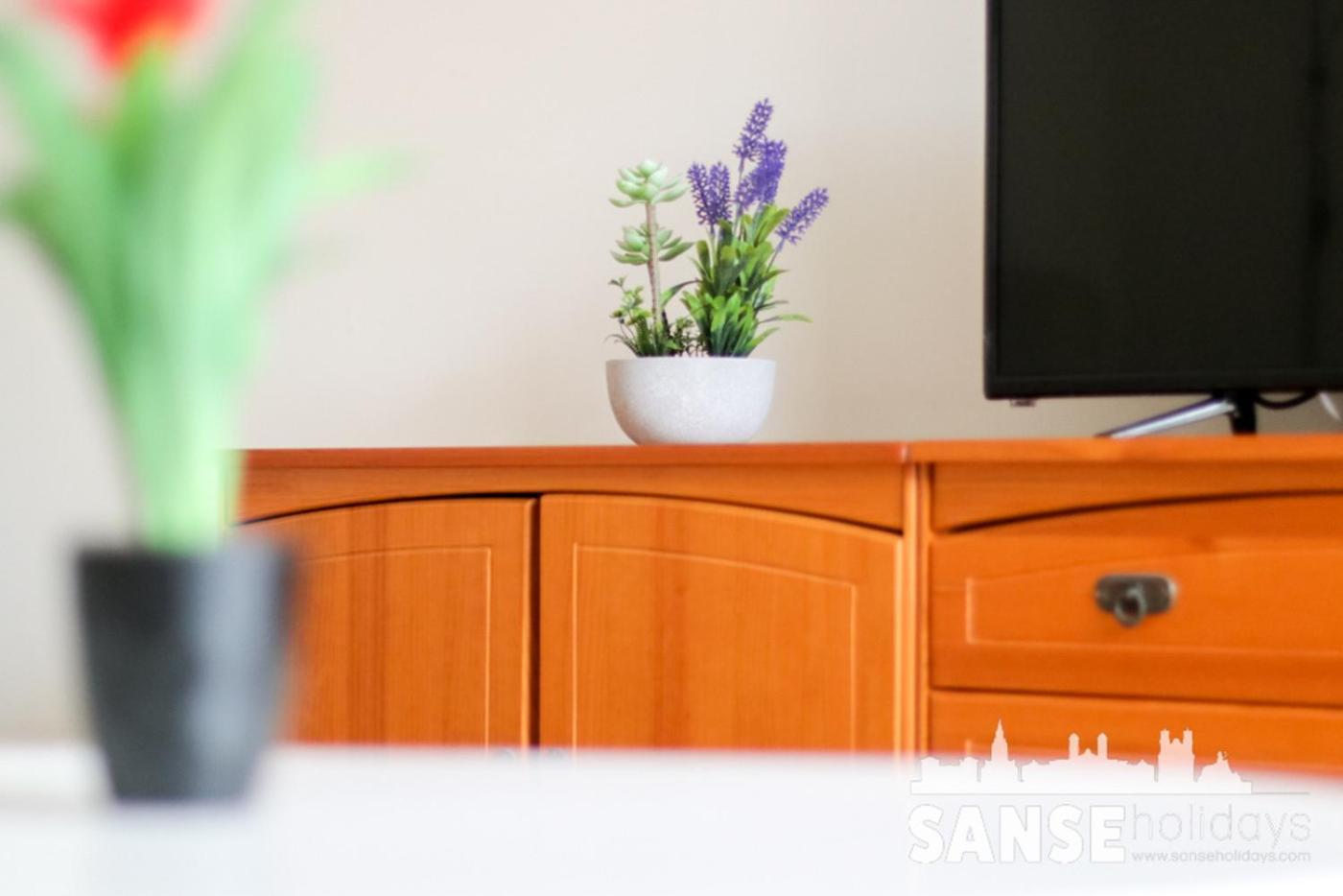 Apartamento Colon By Sanse Holidays San Sebastian Exterior photo